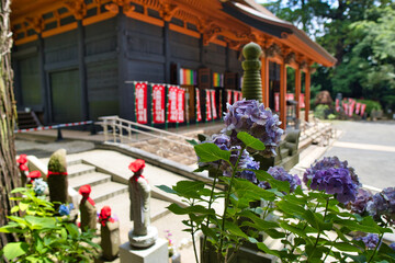 寺, 建築, 古い, 神社, 空, 歴史, 伝統の, 日本