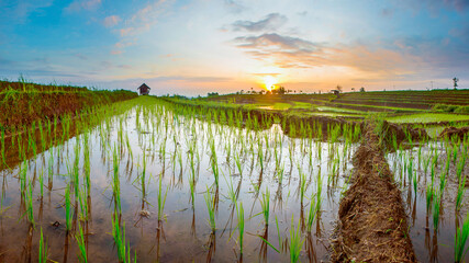 panorama terrace with sunset in north bengkulu, indonesia