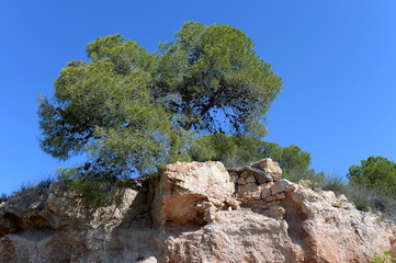 Stone banks in Orihuela Costa. Spain