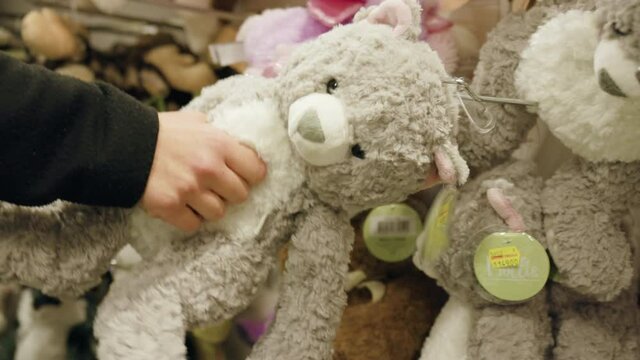 Young female hand picks up a cute friendly cuddle soft furry grey plush toy bear from a shelf at a kids toy play store shop to buy it for her baby kid boy hugging playing at shopping mall for families