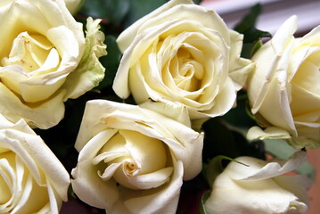 bouquet of white blooming roses close up