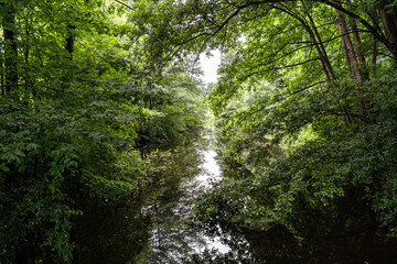 Obraz premium Ruhiger Fluss in der Natur eingerahmt von Bäumen