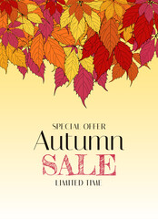 Autumn Sale Background Template with leaves. Special offer. Limited Time. Vector Illustration