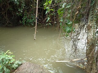 Natural pond formed from a small waterfall in a tropical forest