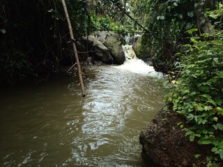Natural stream and waterfall in a tropical area