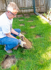 Man lifts a walking path stone from grass lawn
