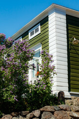 Beautiful street with old wooden houses and blooming lilac in old town of Porvoo