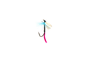 Fly for fishing on white background .