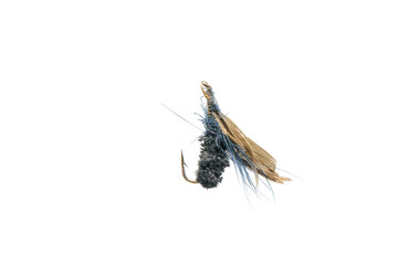 Fly for fishing on white background .
