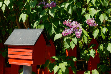 Beautiful street with bird feeder and blooming lilac in old town of Porvoo