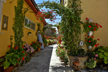 Fototapeta na wymiar A street decorated with flowers in the medieval town of Cairano in the province of Avellino, Italy.