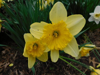 Devil Inside Photography