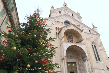 Verona Cathedral decorated with Christmas tree, Italy