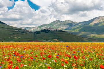 Castelluccio di Norcia, uno splendido borgo dell'Umbria distrutto dal terremoto del 2016
