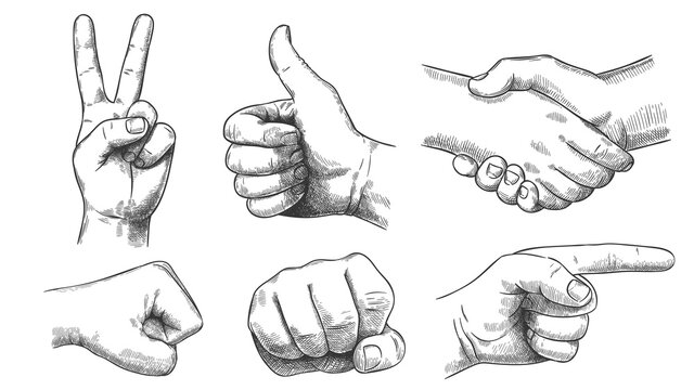 Hand drawn gestures. Pointer finger, strong fist and punch. Handshake, thumb up like and triumph victory gesture sketch vector illustration set. Engraved hand signals and signs for communication