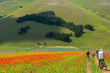 Castelluccio di Norcia, uno splendido borgo dell'Umbria distrutto dal terremoto del 2016
