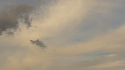 SONY DSC