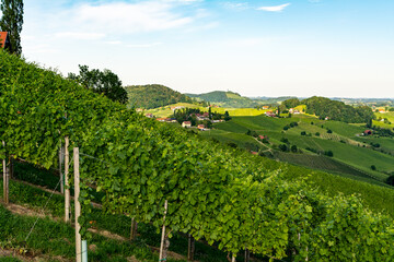 Fototapeta na wymiar View from famous wine street in south Styria (Südsteiermark), Austria on Tuscany like vineyard hills. Tourist destination