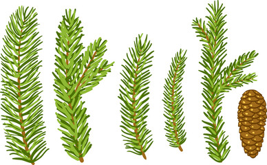 Set of colorful hand drawn Christmas tree branches isolated on white background. Pine, fir, spruce branches and cone. Christmas design elements. Vector illustration