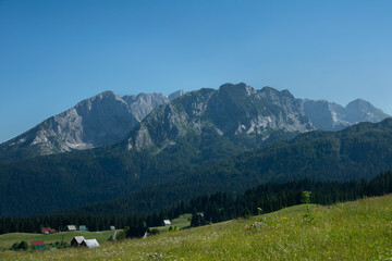 Fototapeta na wymiar Durmitor mountain in Zabljak (Montenegro)