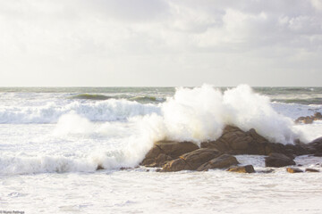 Mar