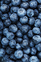 Juicy blueberries in the form of a full-screen texture.