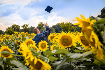 Sunflower Grad