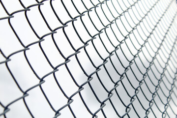Fence 