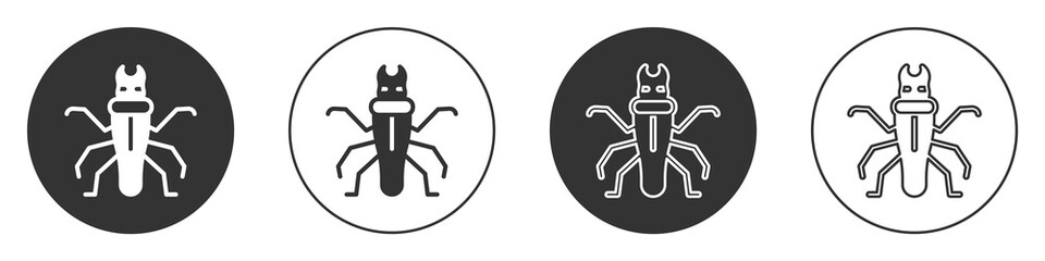 Black Termite icon isolated on white background. Circle button. Vector.