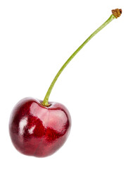 Cherry isolated on white background with clipping path