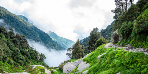 Fototapeta na wymiar View enroute to Triund hiking trail through lush green landscape at Mcleodganj, Dharamsala, Himachal Pradesh, India. Triund hill top offers view of Himalayas peaks of Dhauladhar range.