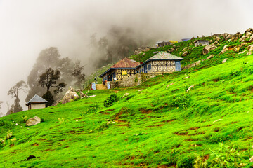 Fototapeta na wymiar Alpine meadows of Triund hill ridge shrouded in mist in a scenic landscape during monsoon season at Mcleod Ganj, Himachal Pradesh, India.