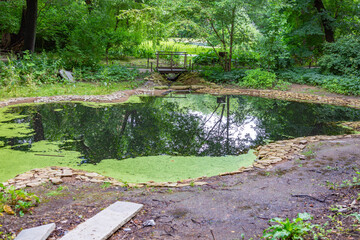 Abandoned wild pond with mud in the middle of the city park