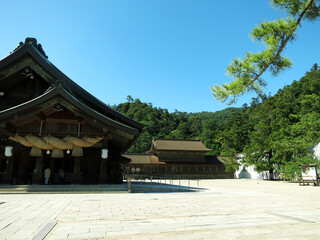 出雲大社拝殿. The Prayer Hall (Haiden) of Izumo Grand Shrine (Izumo-taisha) in Shimane Prefecture, JAPAN
