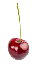 Cherry isolated on white background with clipping path