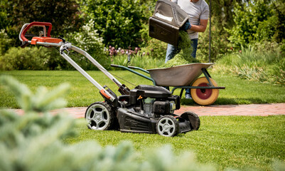 Gardener emptying lawn mower grass into a wheelbarrow after mowing.