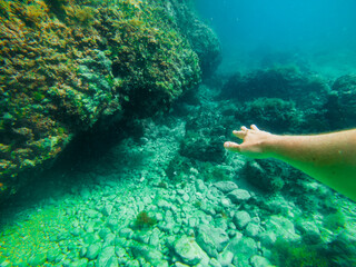 man swimming underwater looking sea bottom