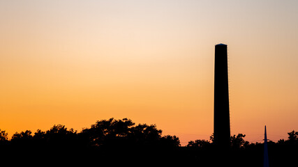 Tobacco Plant with sunset in background