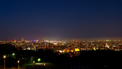 Fototapeta na wymiar 旭山記念公園から札幌の街の夜景