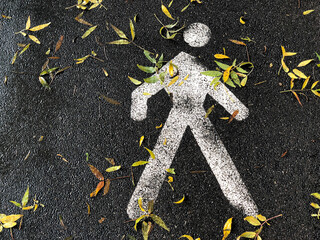 pedestrian way sign on ground covered with autumn leaves