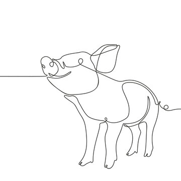 One line drawing of pig, Black and white vector minimalistic hand drawn illustration