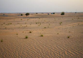Fototapeta premium sand dunes in the desert