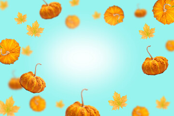 Autumn frame with falling orange pumpkin and maple leaves on light blue background with space for text