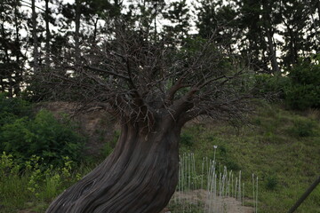 울산 타워 주변 표현입니다.