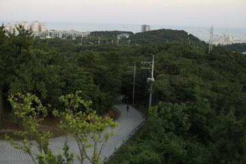 울산 산정상에서 내려다 본 표현입니다.