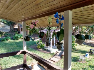 tropical garden 
