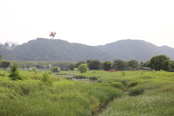울산 태화강 주변 표현입니다.