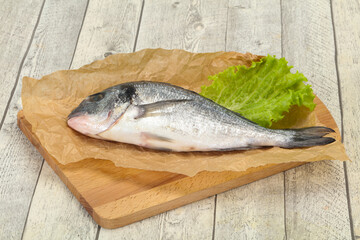 Raw Dorada fish  for cooking