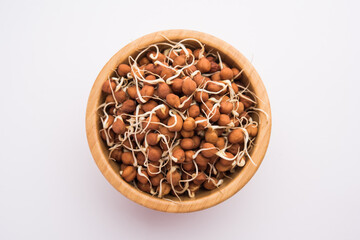 Black chana or brown chickpeas sprouts in a bowl. selective focus