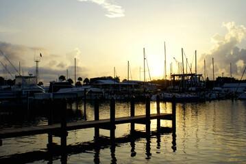 Obraz premium SONY DSC